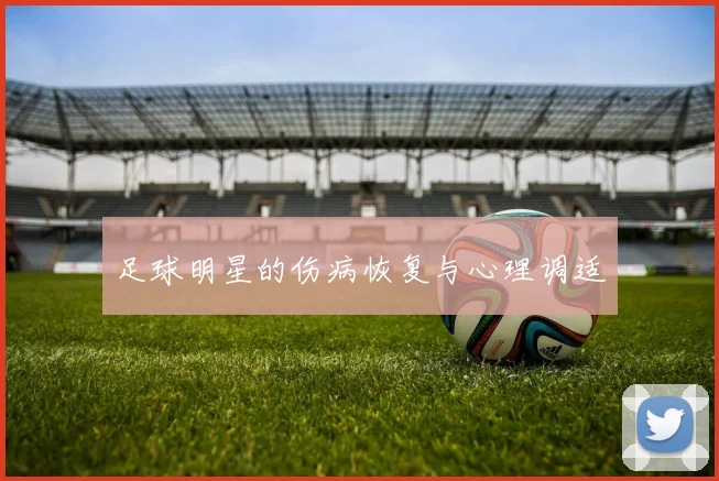 足球明星的伤病恢复与心理调适